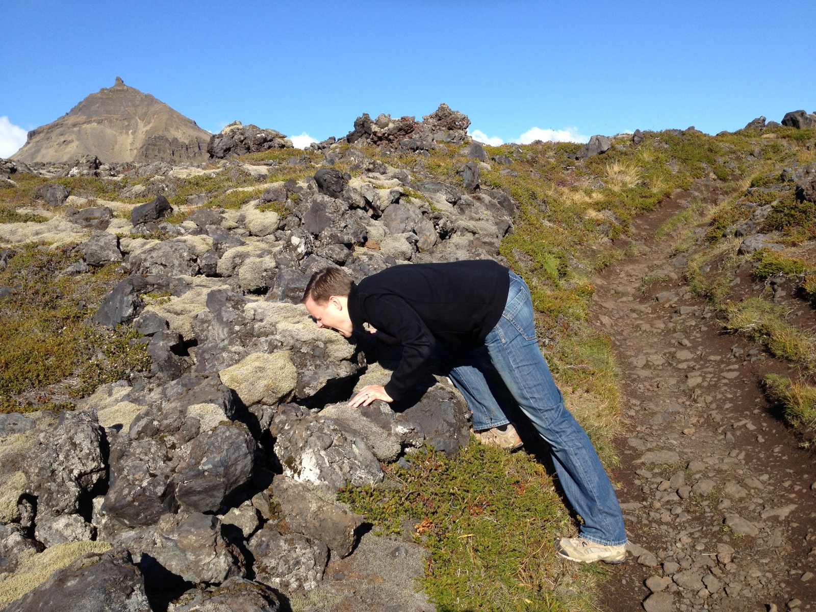 566 DSC08543b IMG 2551